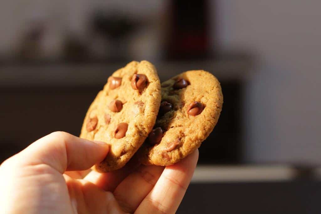 NYC Chocolate Chip Cookies 